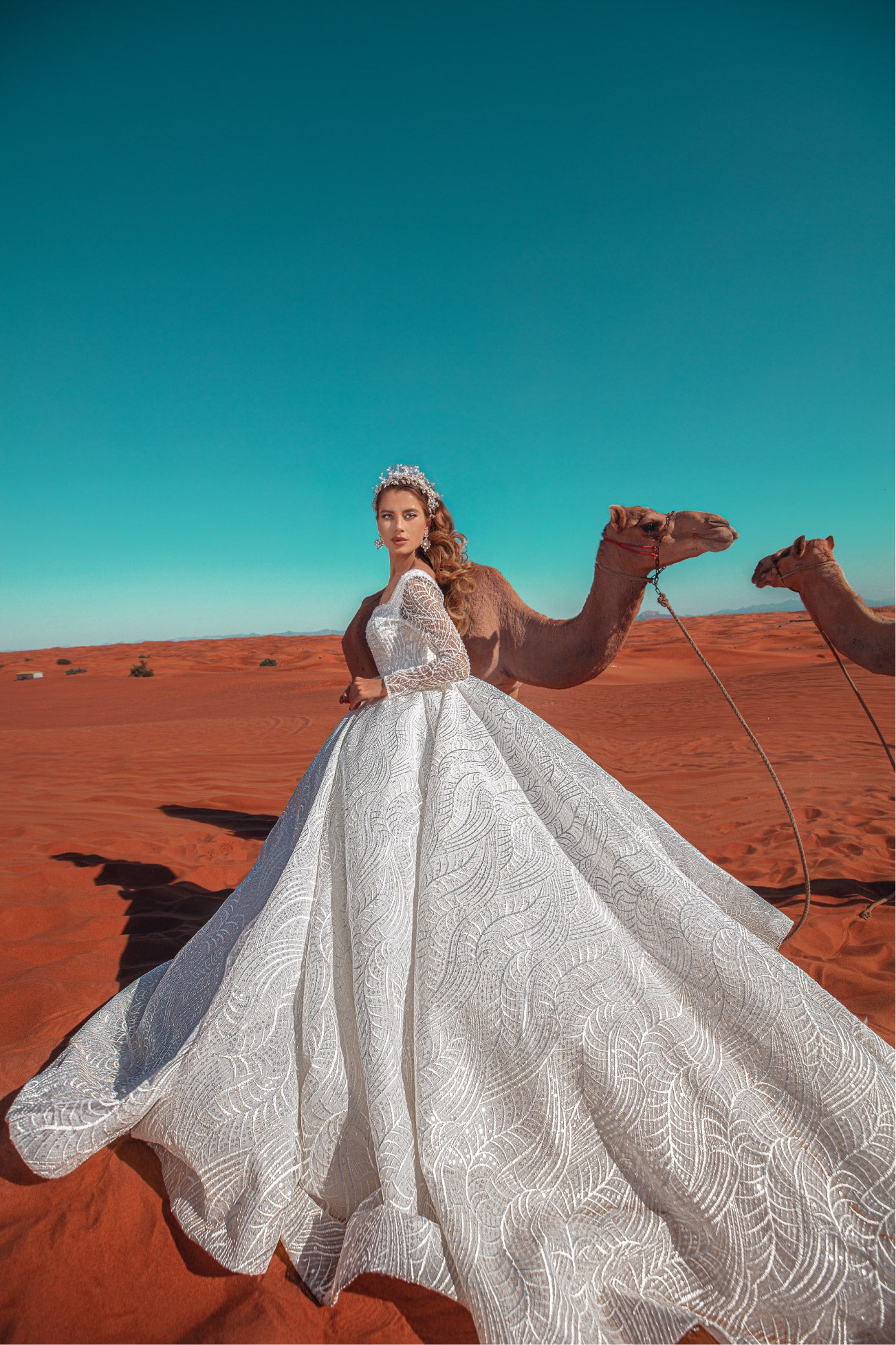Prescious princess wedding dress