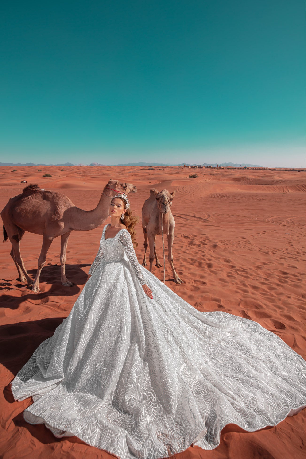 Prescious princess wedding dress