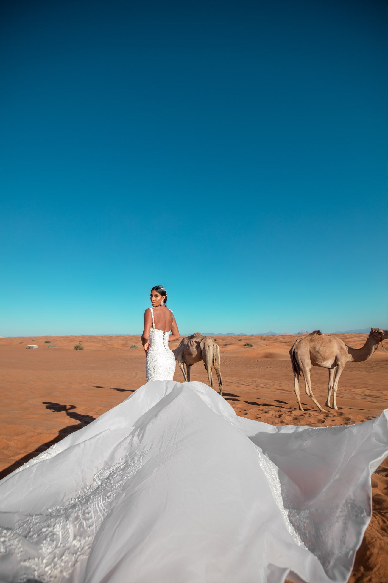 Fabulous mermaid wedding dress
