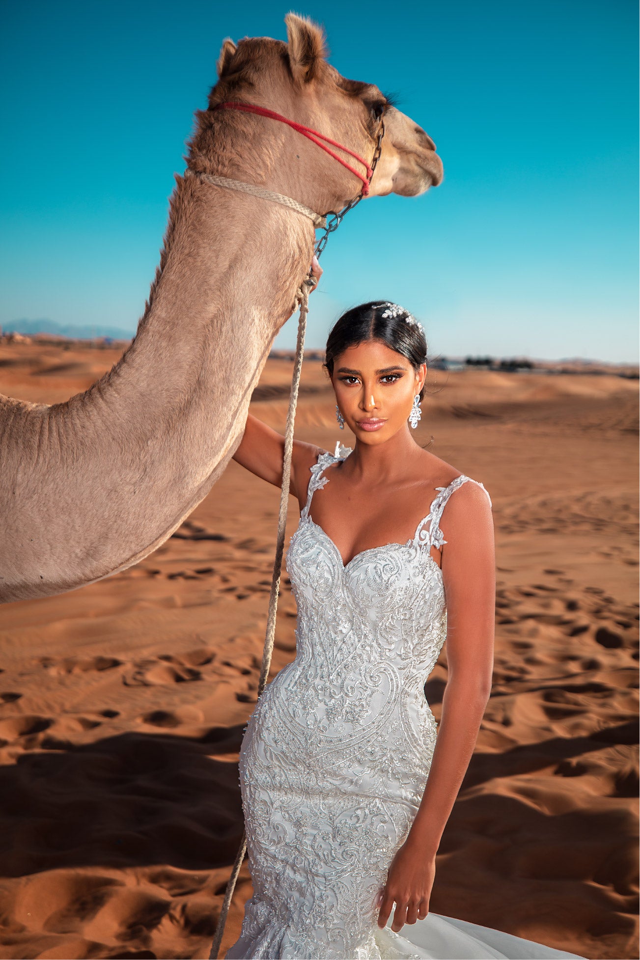 Fabulous mermaid wedding dress