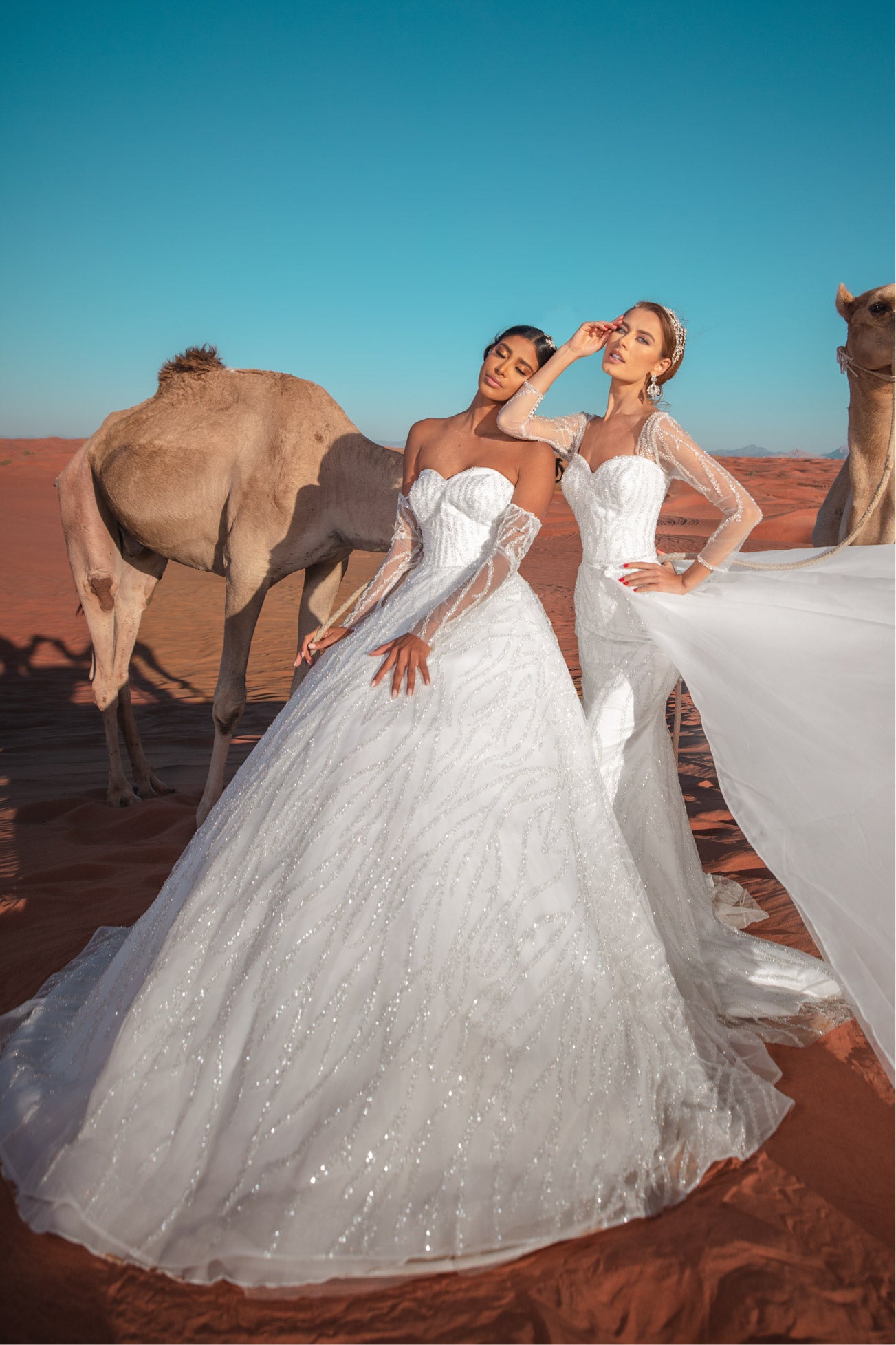 Iconic princess wedding dress