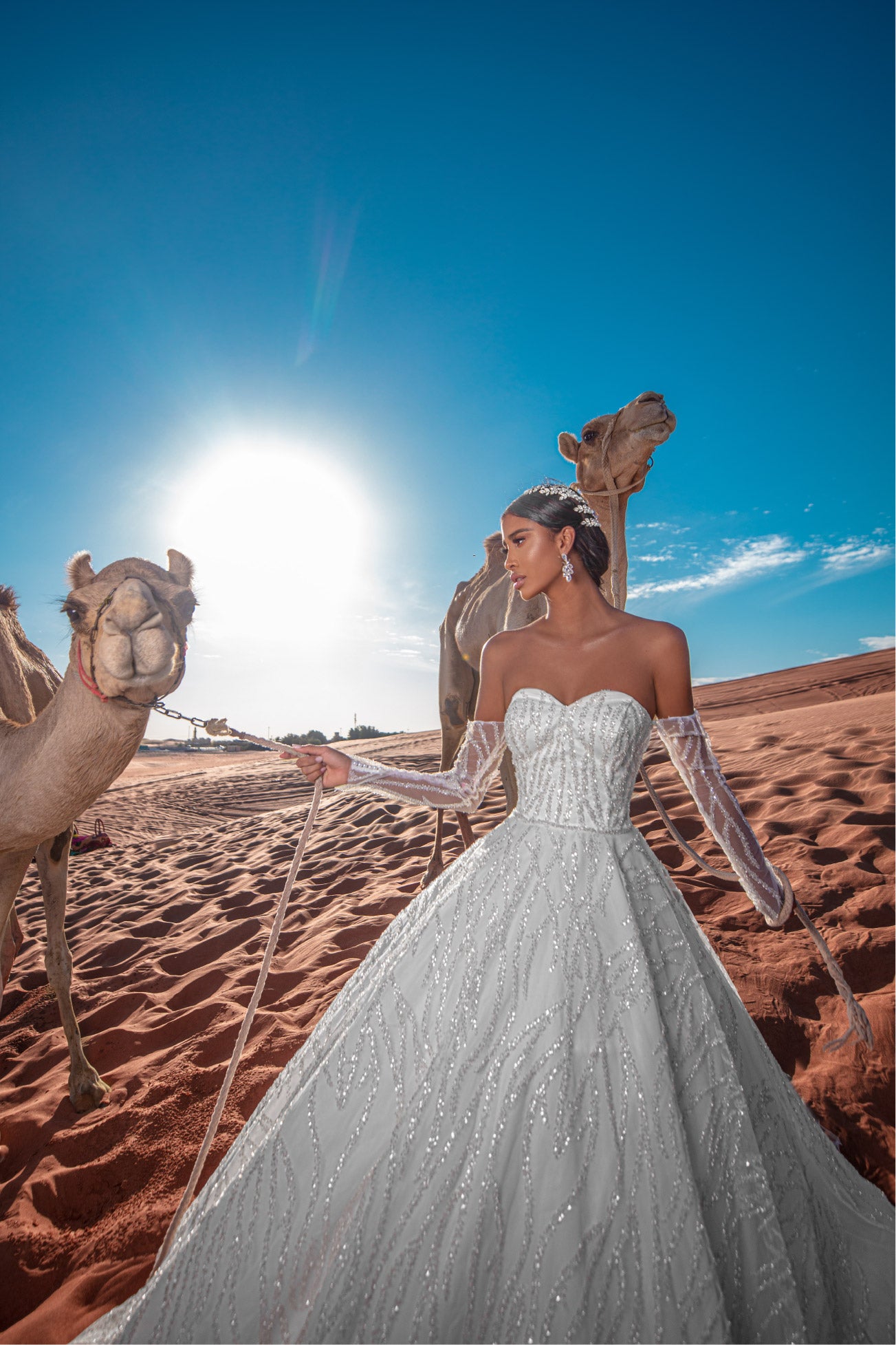 Iconic princess wedding dress