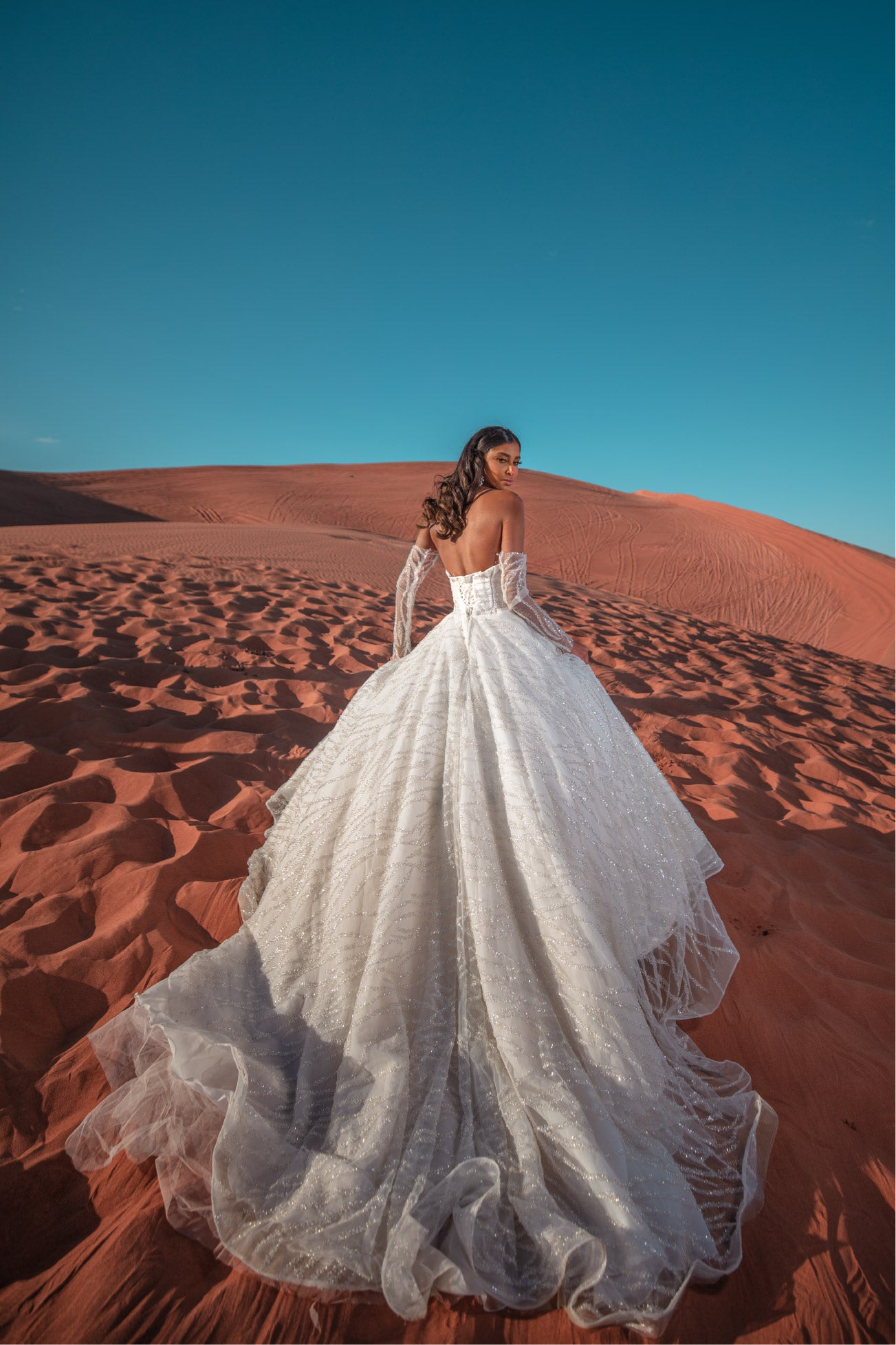 Iconic princess wedding dress