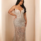 Stellar evening dress 